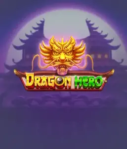 Enter a fantastic quest with the Dragon Hero game by Pragmatic Play, showcasing breathtaking graphics of mighty dragons and heroic battles. Discover a world where legend meets adventure, with symbols like enchanted weapons, mystical creatures, and treasures for a captivating slot experience.